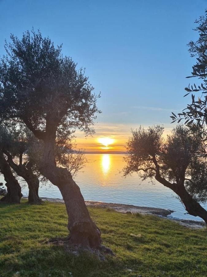 Casa Vacanza Gargano Карпіно Екстер'єр фото